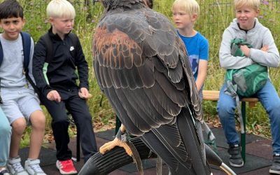 Zu Besuch im „Grünen Klassenzimmer“