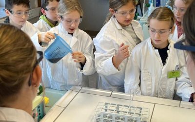 “Die Chemie der Zitrone”